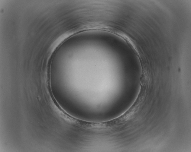 X0000071771147200606301149