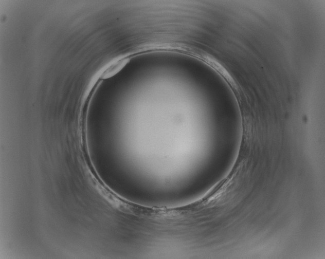 X0000071771148200606301149