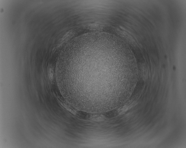 X0000071771154200606301148