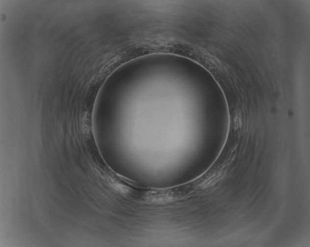 X0000071771156200606301148