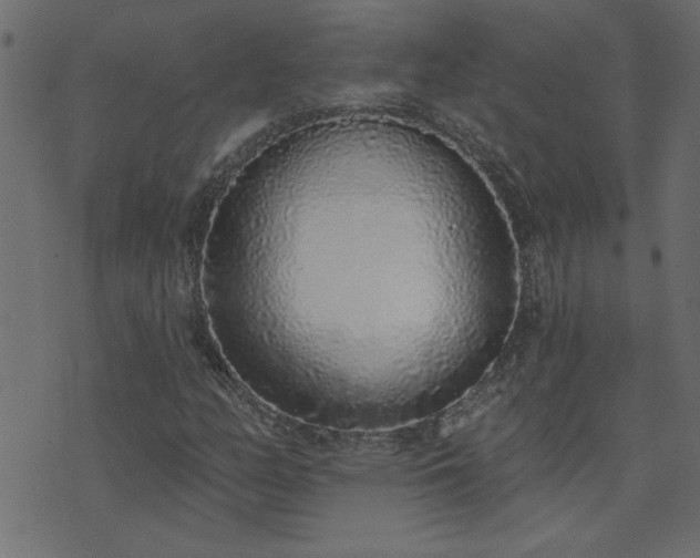 X0000071771158200606301148