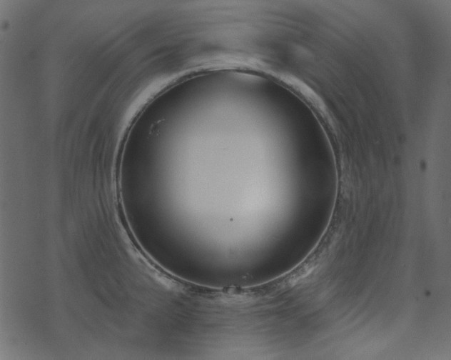 X0000071771191200606301147