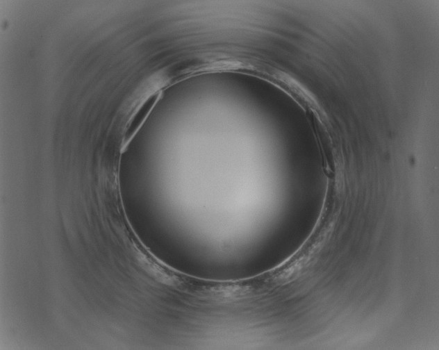 X0000071771193200606301147