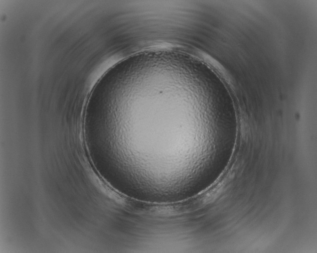 X0000071771194200606301147