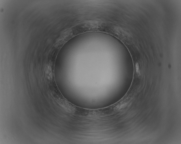 X0000071771203200606301147