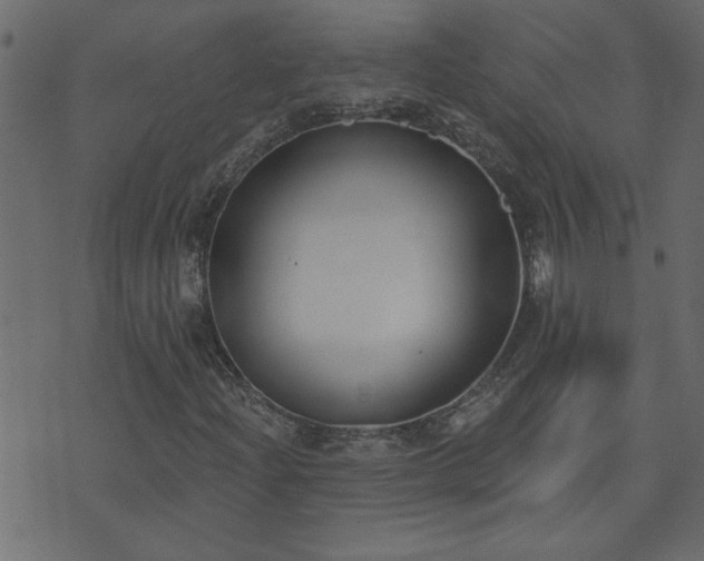 X0000071771204200606301147