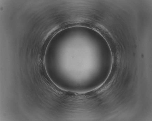 X0000071771210200606301147