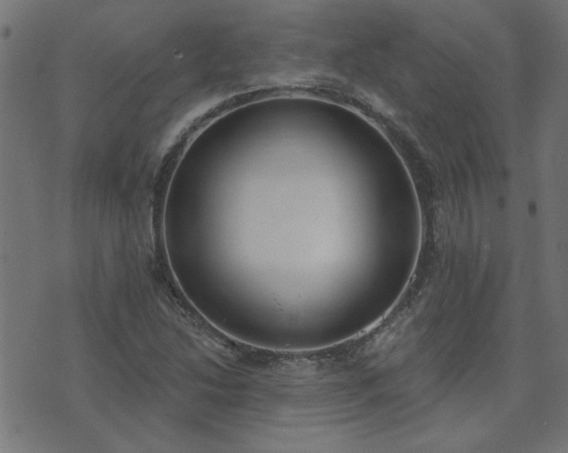 X0000071771214200606301147