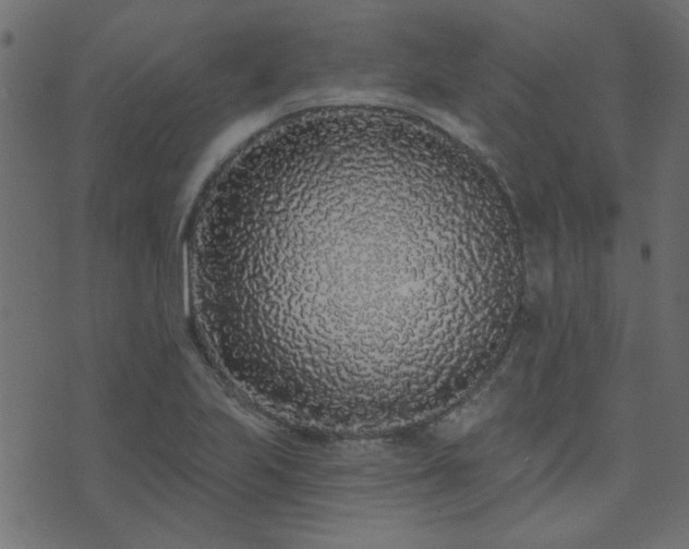 X0000071771223200606301147