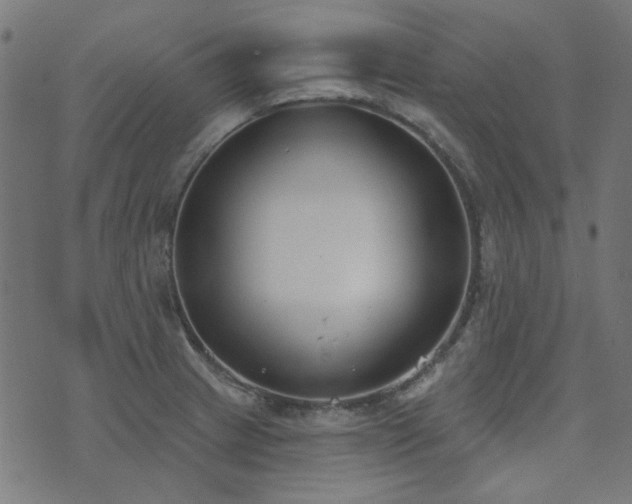 X0000071771233200606301147