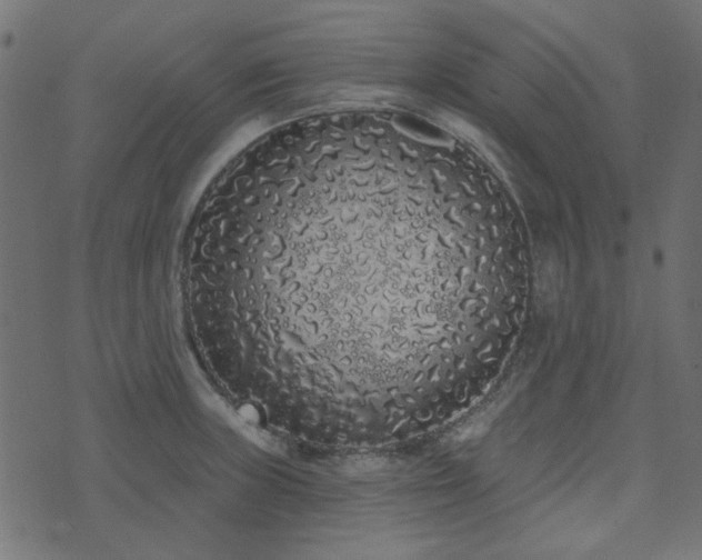 X0000071771235200606301147