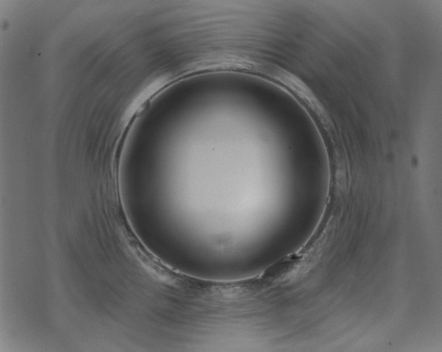 X0000071771242200606301147