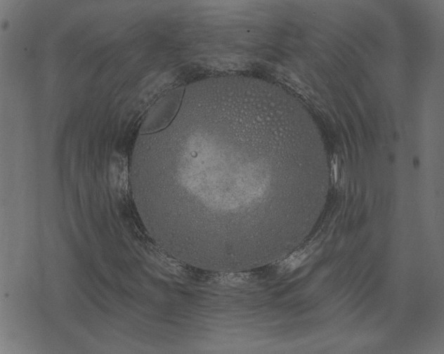 X0000071771251200606301146