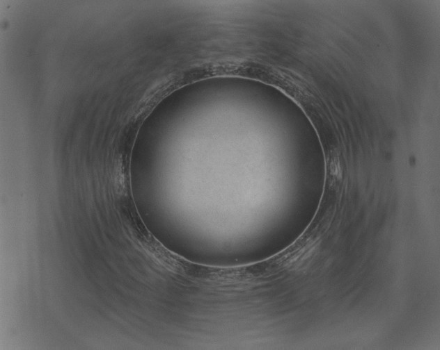 X0000071771252200606301146