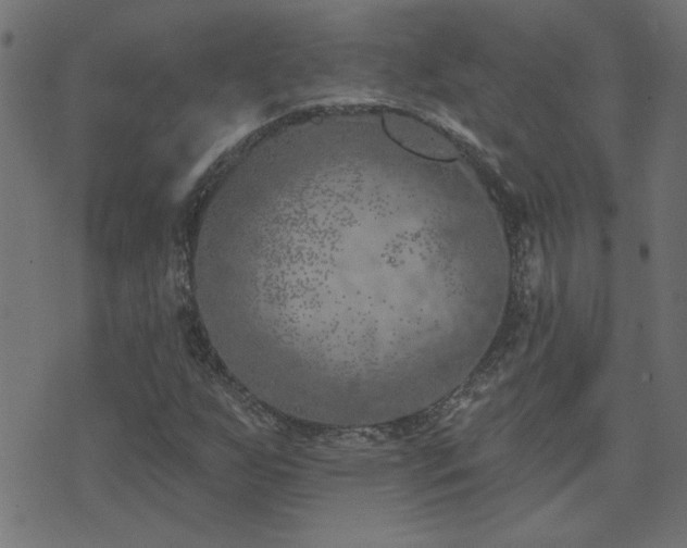 X0000071771255200606301146