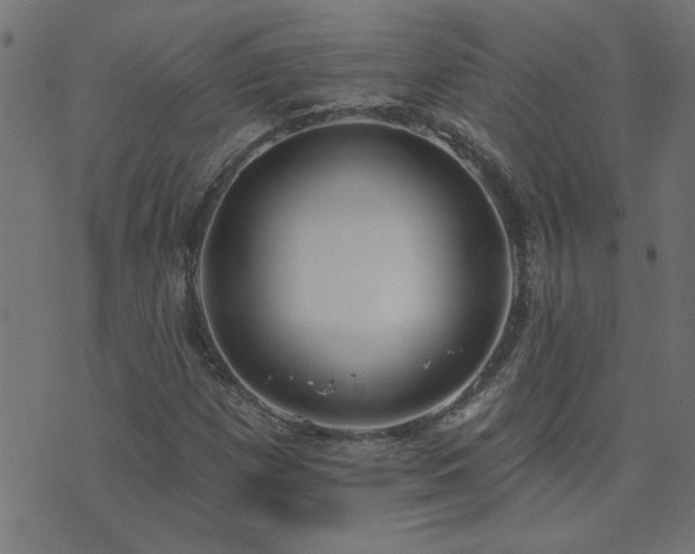 X0000071771257200606301146