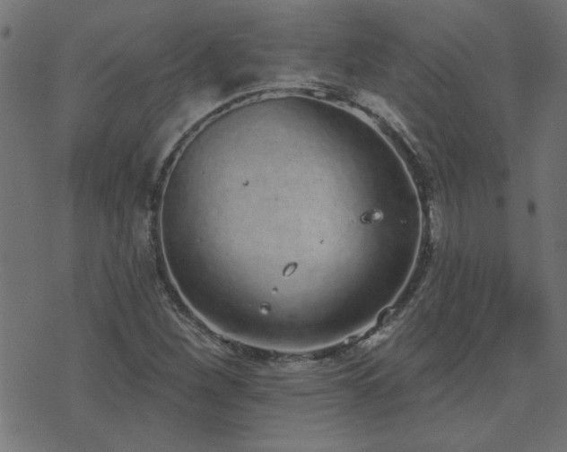 X0000071771260200606301146