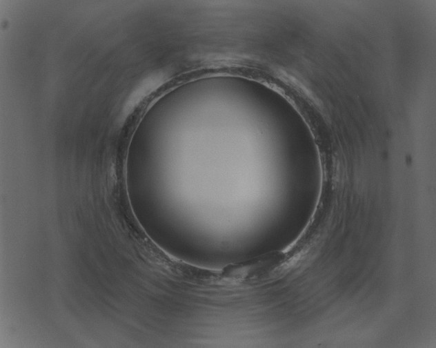 X0000071771261200606301146