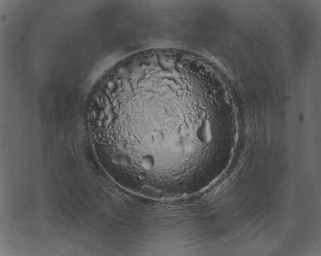 X0000071771263200606301146