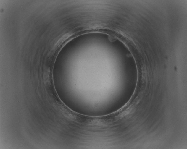 X0000071771265200606301146
