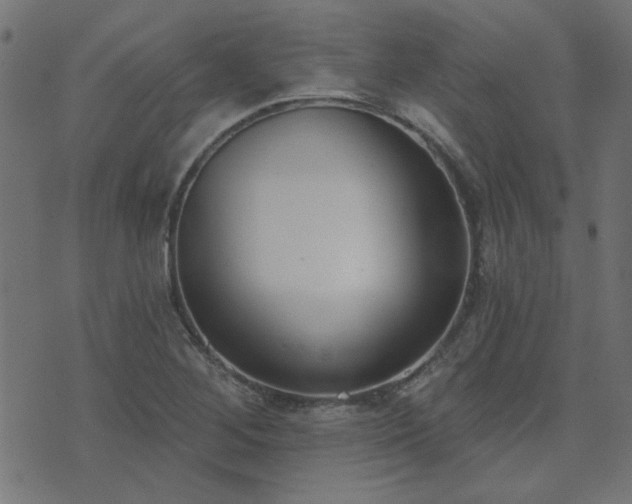 X0000071771268200606301146