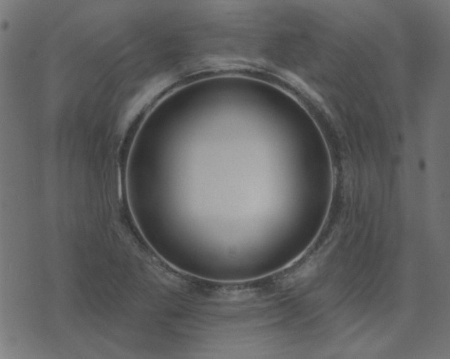 X0000071771269200606301146
