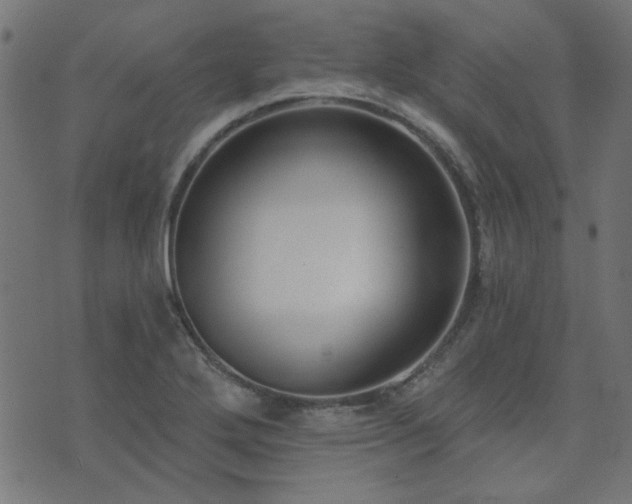 X0000071771272200606301146