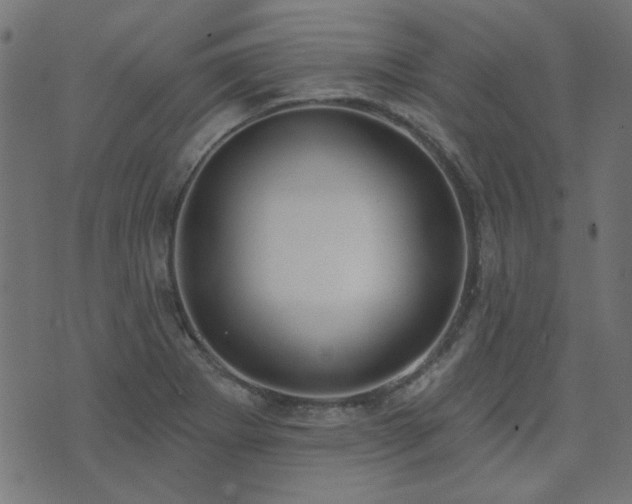 X0000071771273200606301146