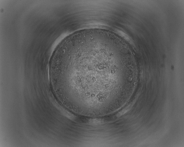 X0000071771275200606301146