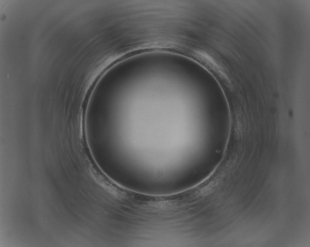 X0000071771276200606301146