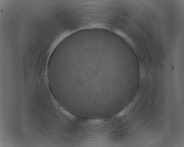 X0000071771278200606301146