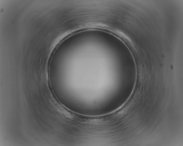 X0000071771280200606301146