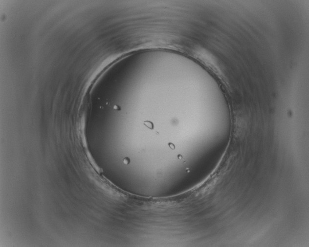 X0000071771284200606301146