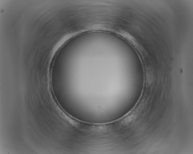 X0000071771286200606301146