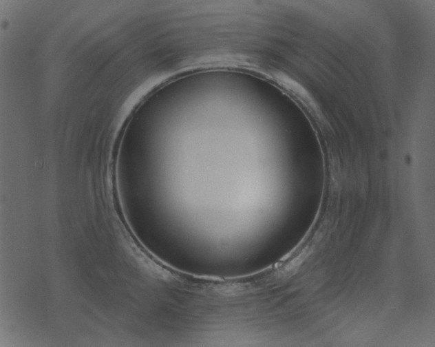 X0000071771288200606301146