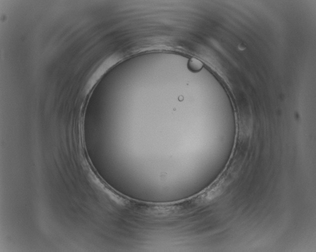 X0000071771290200606301146