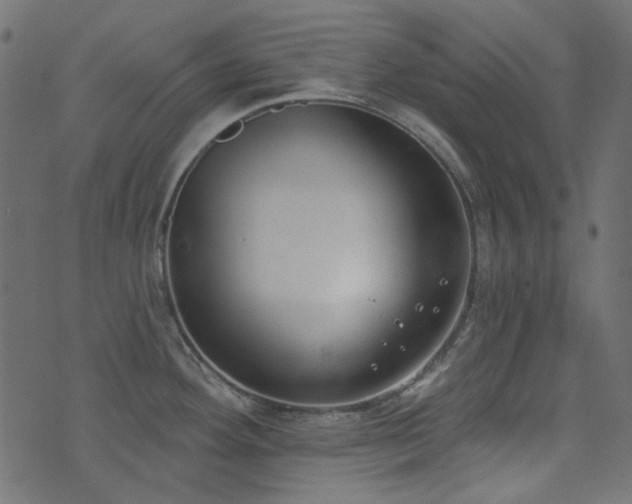 X0000071771292200606301146