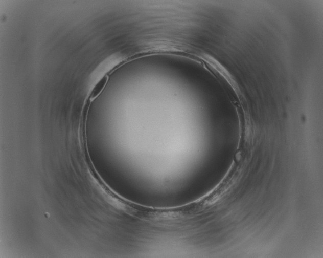 X0000071771293200606301146