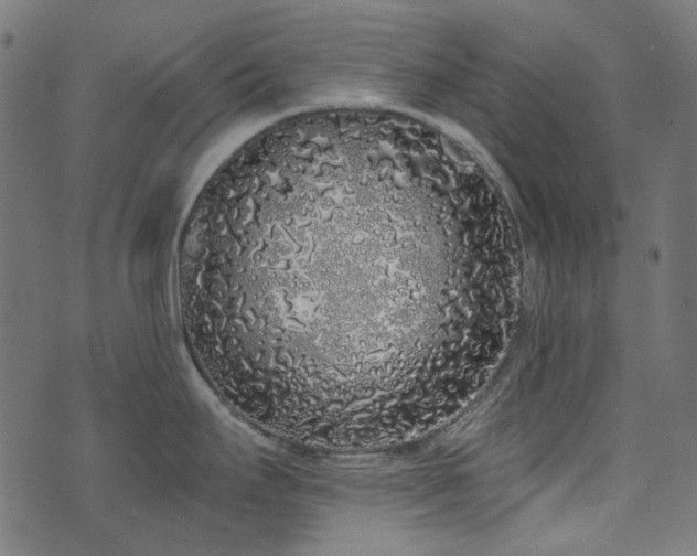 X0000071771295200606301146