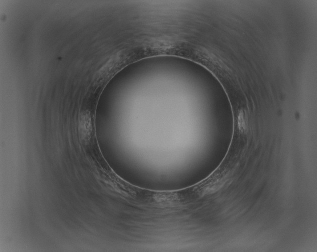X0000071771299200606301145