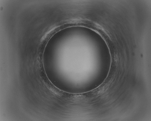 X0000071771304200606301145