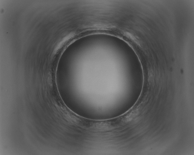 X0000071771307200606301145