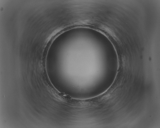 X0000071771308200606301145
