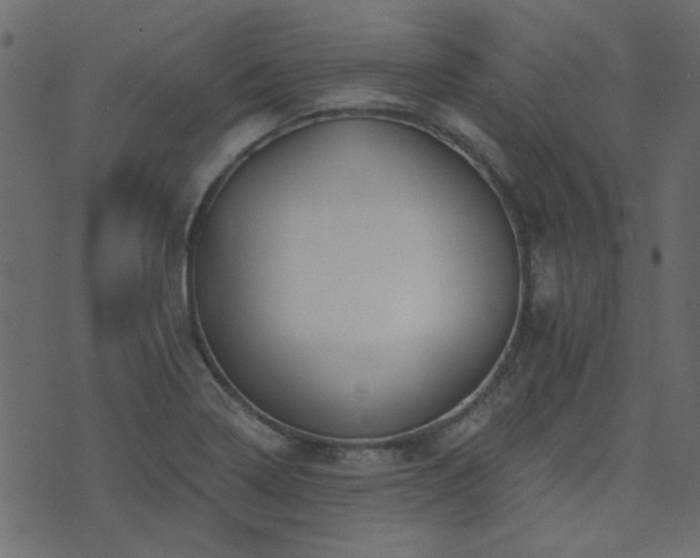 X0000071771322200606301145