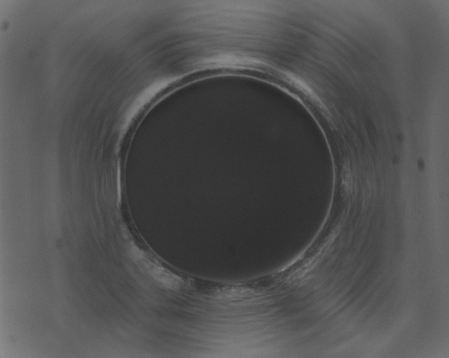 X0000071771323200606301145