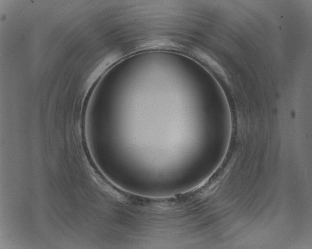 X0000071771330200606301145