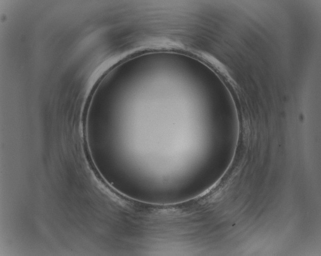 X0000071771335200606301146