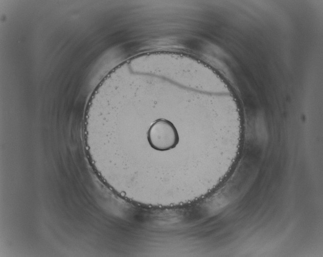 X0000071771338200606301146