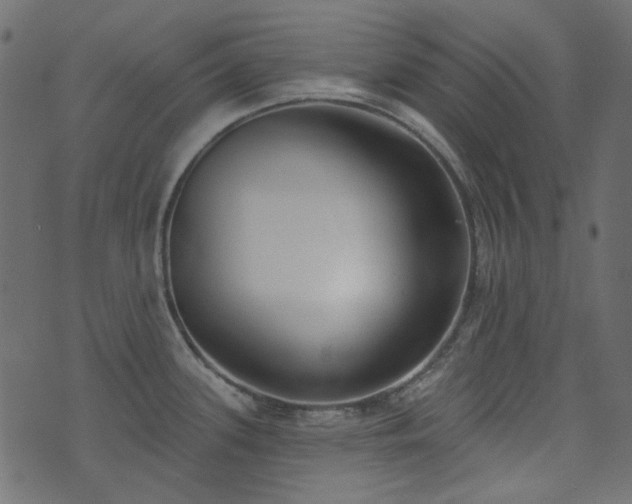 X0000071771339200606301146