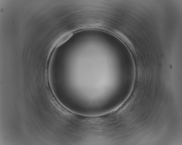 X0000071771340200606301146